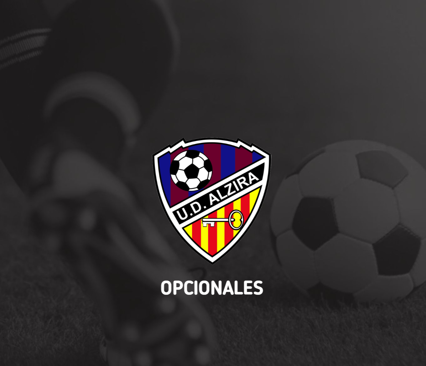 OPCIONALES U.D. ALZIRA