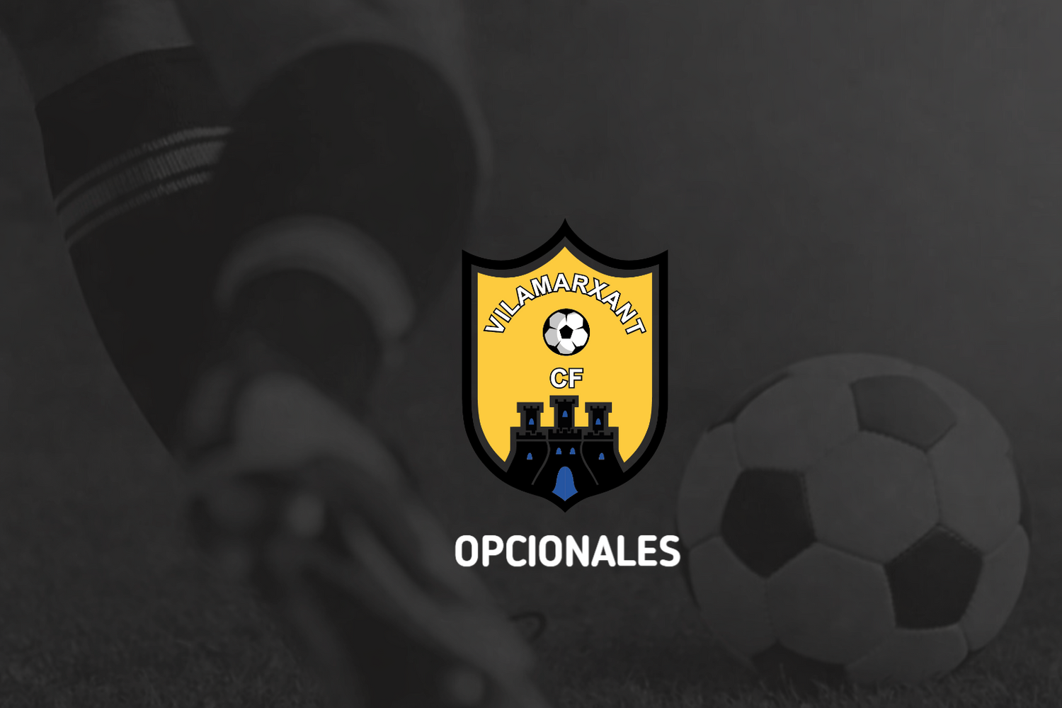 OPCIONALES VILLAMARXANT