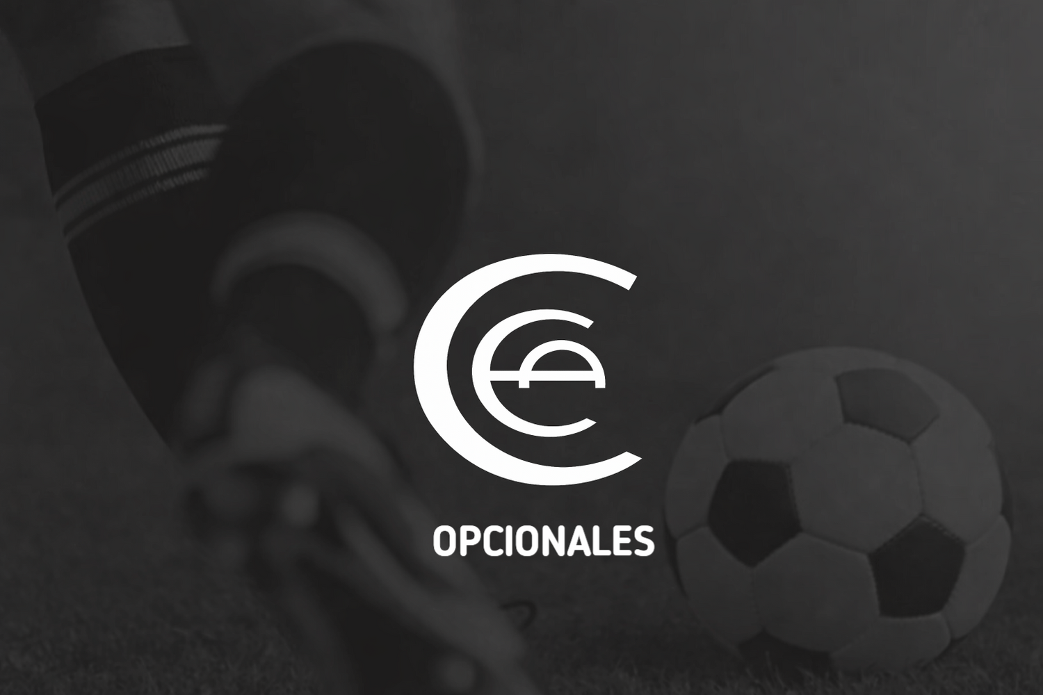 OPCIONALES ARMELAR