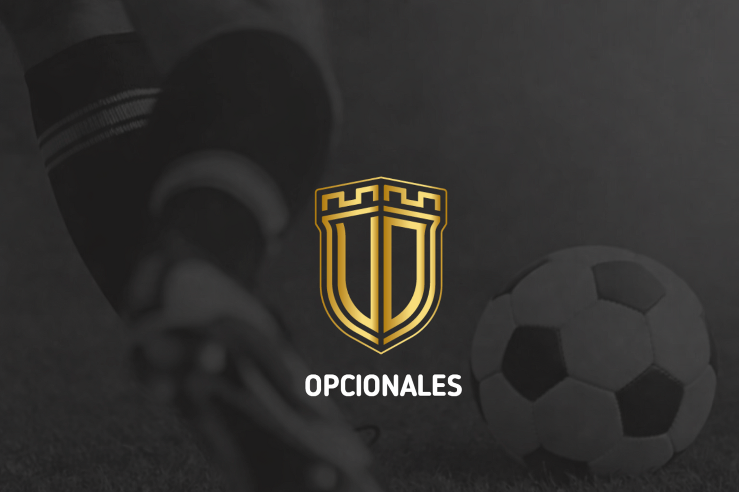 OPCIONALES UD PATERNA